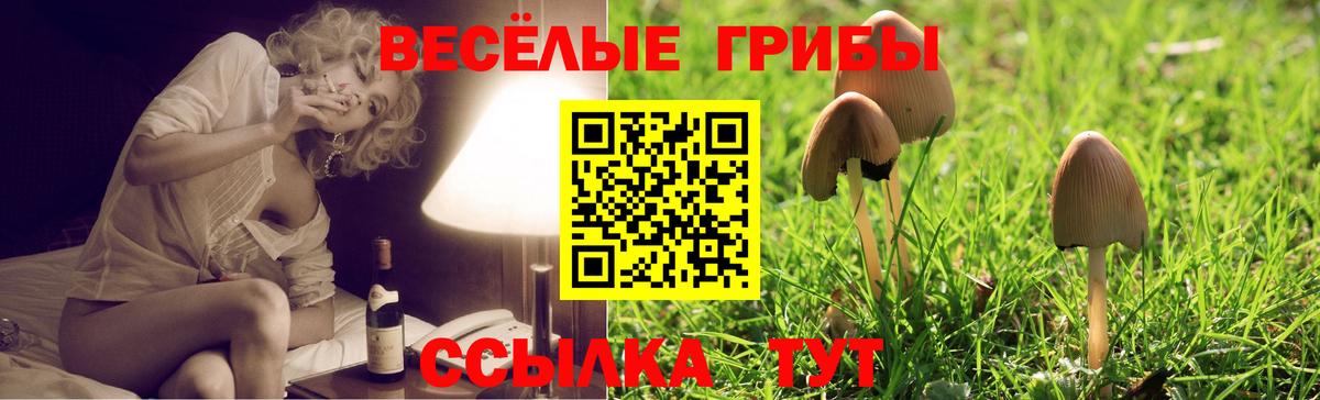 Псилоцибиновые грибы Cubensis  купить наркотик  Осинники  Вход с VPN 